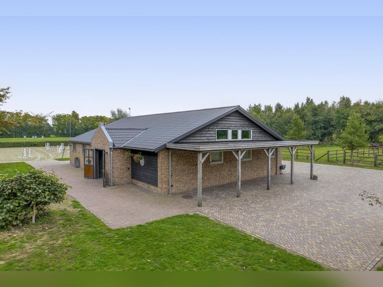 A beautiful location for horse happiness!