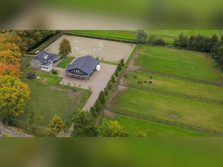 A beautiful location for horse happiness!