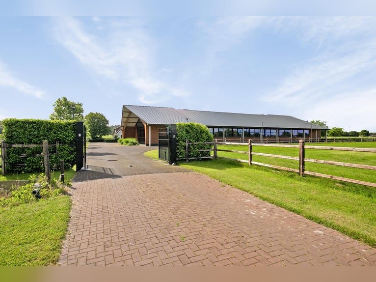 A Stunning Equestrian Estate with Endless Possibilities for the Professional Horse Enthusiast!