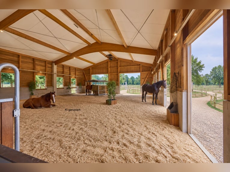 Anwesen in Wiesbaden in Alleinlage – Landwirtschaftlicher Betrieb mit großzügigem Doppelhaus!
