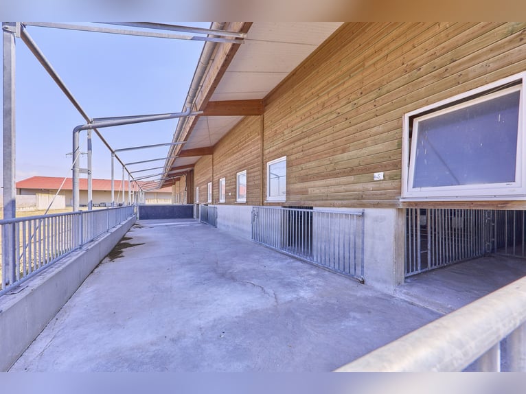 Anwesen in Wiesbaden in Alleinlage – Landwirtschaftlicher Betrieb mit großzügigem Doppelhaus!