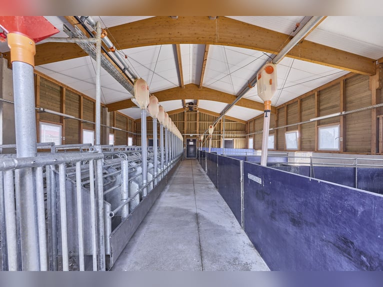 Anwesen in Wiesbaden in Alleinlage – Landwirtschaftlicher Betrieb mit großzügigem Doppelhaus!