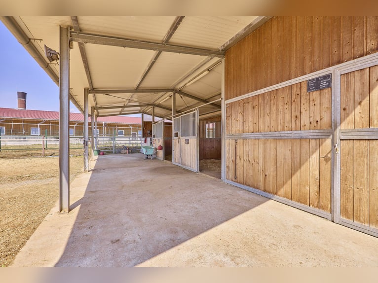 Anwesen in Wiesbaden in Alleinlage – Landwirtschaftlicher Betrieb mit großzügigem Doppelhaus!