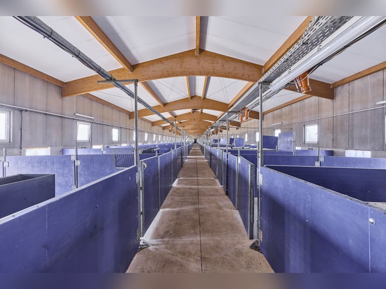 Anwesen in Wiesbaden in Alleinlage – Landwirtschaftlicher Betrieb mit großzügigem Doppelhaus!