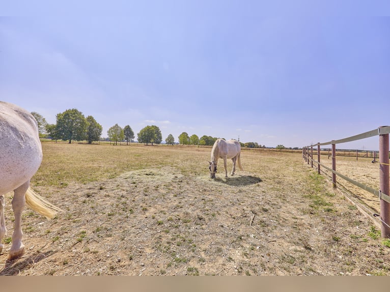 Anwesen in Wiesbaden in Alleinlage – Landwirtschaftlicher Betrieb mit großzügigem Doppelhaus!
