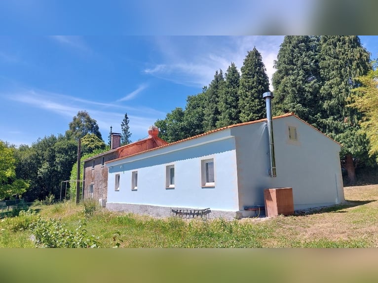 Anwesen mit Haus und privater Reitanlage