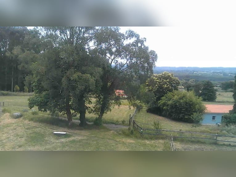 Anwesen mit Haus und privater Reitanlage