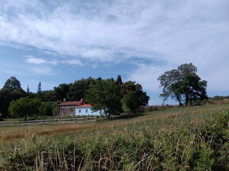 Anwesen mit Haus und privater Reitanlage