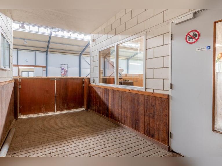 Anwesen mit professionellen Reitanlagen und großzügigen Wohnmöglichkeiten