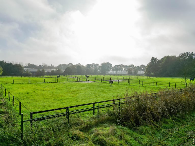 Anwesen mit professionellen Reitanlagen und großzügigen Wohnmöglichkeiten