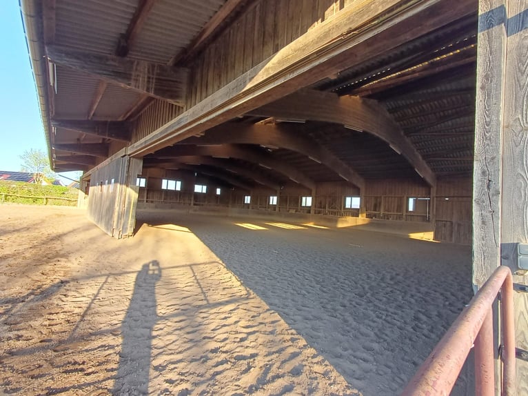 Attraktiver Reiterhof mit vielseitigem Nutzungspotenzial in Bad Neustadt an der Saale