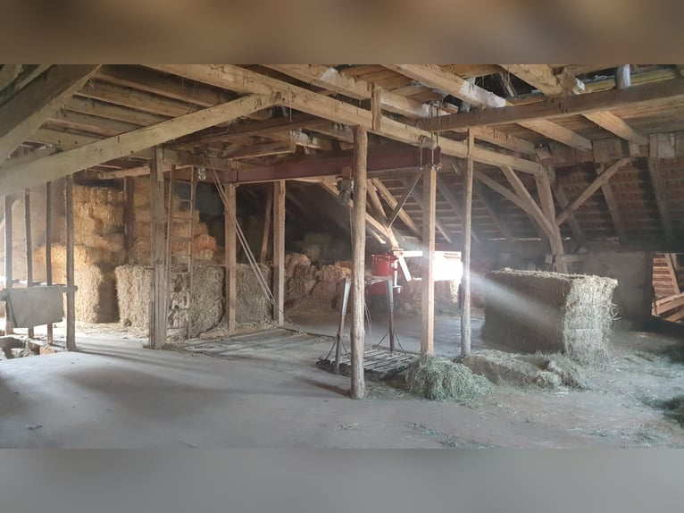 Attraktiver Reiterhof mit vielseitigem Nutzungspotenzial in Bad Neustadt an der Saale