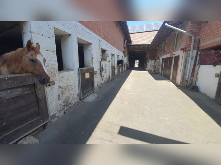 Attraktiver Reiterhof mit vielseitigem Nutzungspotenzial in Bad Neustadt an der Saale