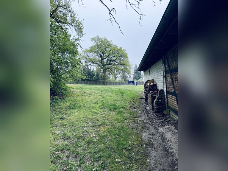 Attraktiver Resthof mit großer Scheune, Stallgebäude und Wiese im schönen Wendland