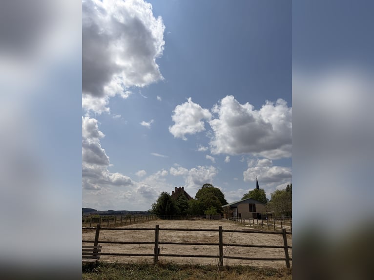 Außergewöhnliches Reitgut mit ca. 34 Hektar arrondiertem Weideland und Panoramablick in der Haute-Sa