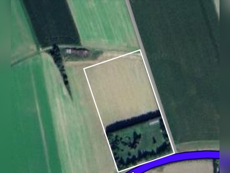 Autarkes Pferde- & Naturparadies (ca. 2,3 ha)mit Eigenwasser, PV-Ertrag & XL-Unterstand bei Landshut