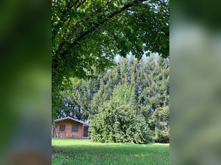 Autarkes Pferde- & Naturparadies (ca. 2,3 ha)mit Eigenwasser, PV-Ertrag & XL-Unterstand bei Landshut