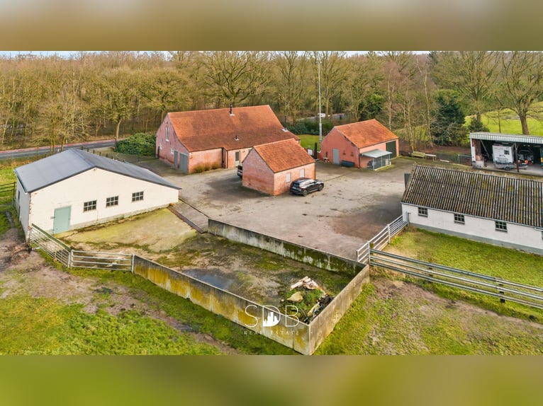 Authentieke hoeve met diverse bijgebouwen en graslanden op 93.155m² - 2300 Turnhout