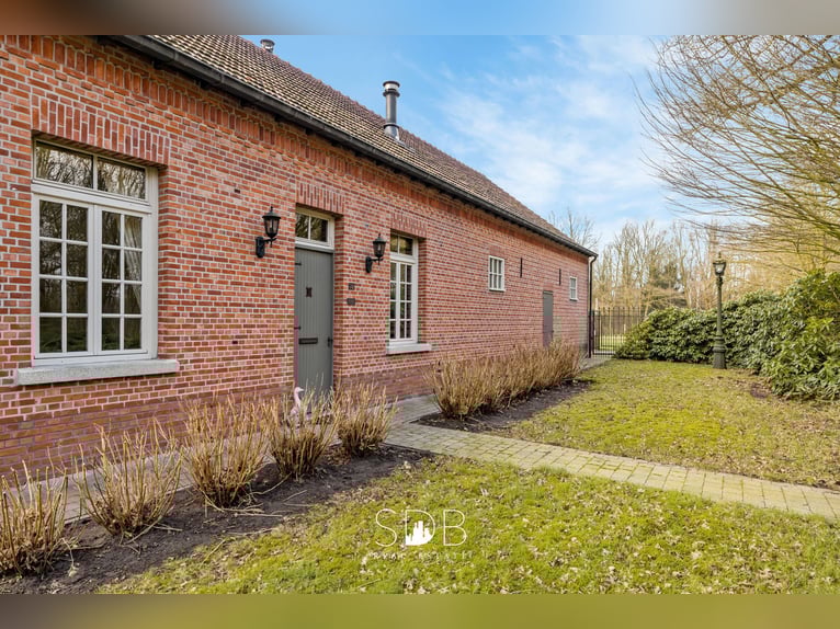 Authentieke hoeve met diverse bijgebouwen en graslanden op 93.155m² - 2300 Turnhout