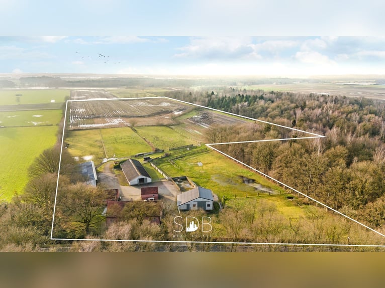 Authentieke hoeve met diverse bijgebouwen en graslanden op 93.155m² - 2300 Turnhout