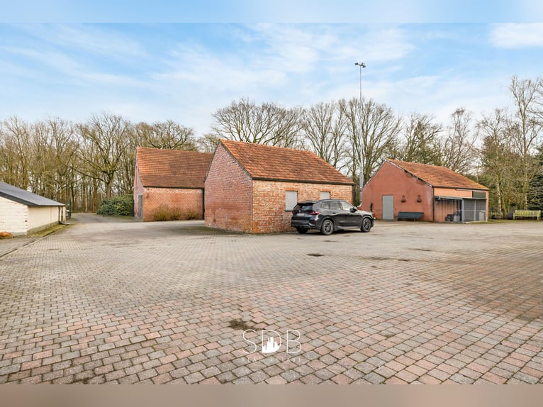 Authentischer Bauernhof mit verschiedenen Nebengebäuden und Weideflächen auf 93.155 m² – 2300 Turnho