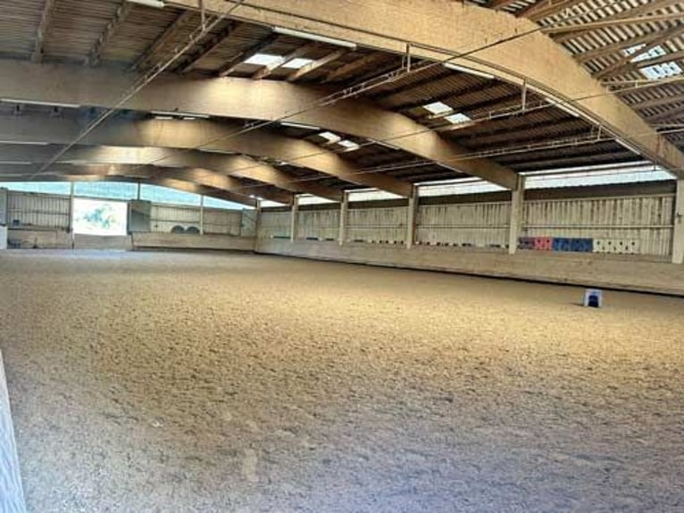 Baden Württemberg, Landkreis Heilbronn - Reitanlage zu verkaufen!