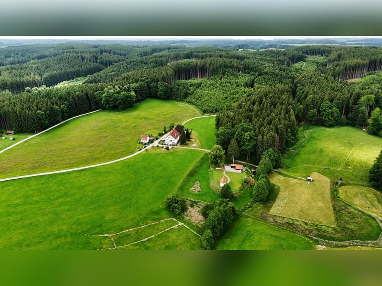 Bauernhaus/Bauernhof kaufen im Allgäu, absolute Alleinlage mit ca. 11 Hektar Wiesen für Mensch & Tie