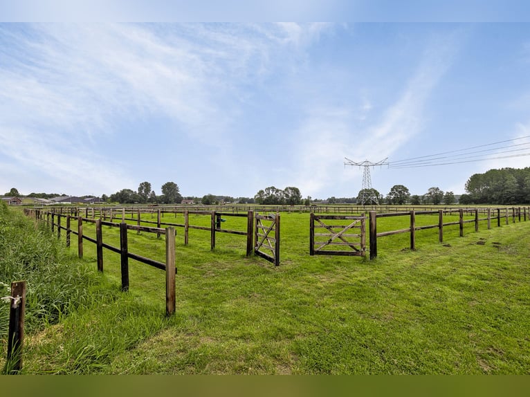 Beautifully finished equestrian property on a unique location with unobstructed view!