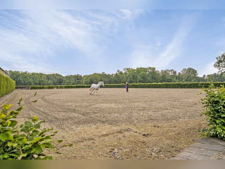 Beautifully finished equestrian property on a unique location with unobstructed view!