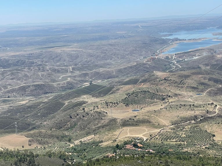 Betrieb für Freizeit und Großwildjagd.