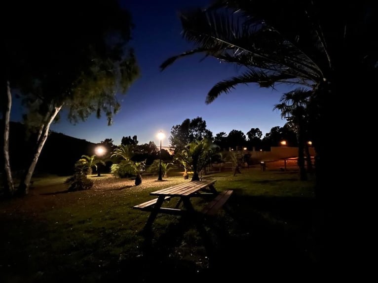 Betrieb für Freizeit und Großwildjagd.