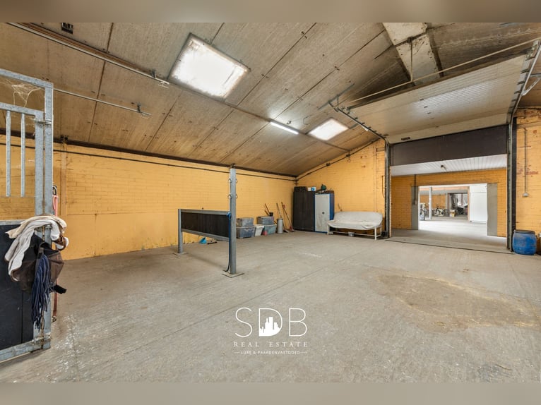 Boerderij met paardenfaciliteiten en graslanden op  14.490m² te Antwerpen | België