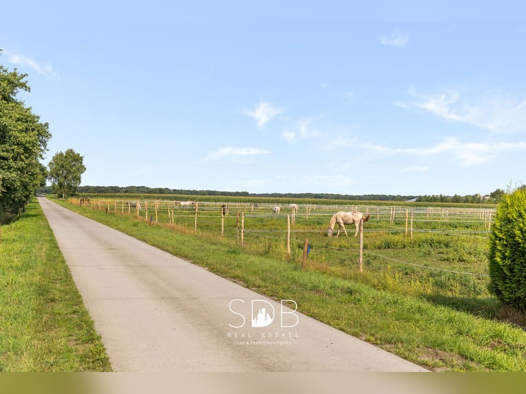 Boerderij met paardenfaciliteiten en graslanden op  14.490m² te Antwerpen | België
