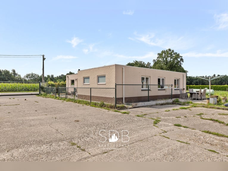 Boerderij met paardenfaciliteiten en graslanden op  14.490m² te Antwerpen | België
