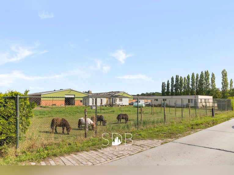 Boerderij met paardenfaciliteiten en graslanden op  14.490m² te Antwerpen | België