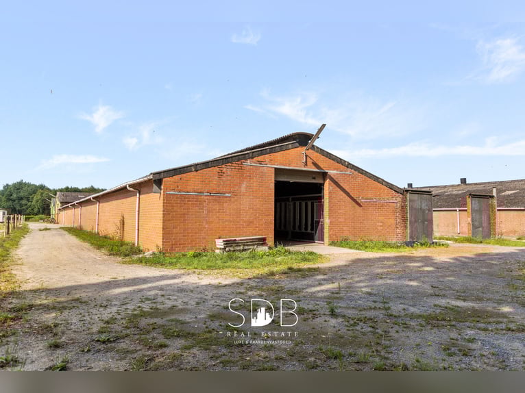Boerderij met paardenfaciliteiten en graslanden op  14.490m² te Antwerpen | België