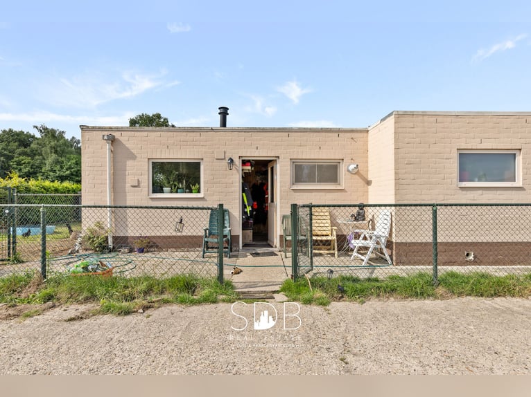 Boerderij met paardenfaciliteiten en graslanden op  14.490m² te Antwerpen | België