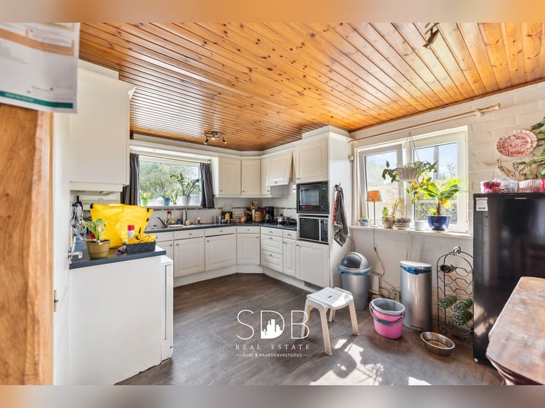 Boerderij met paardenfaciliteiten en graslanden op  14.490m² te Antwerpen | België