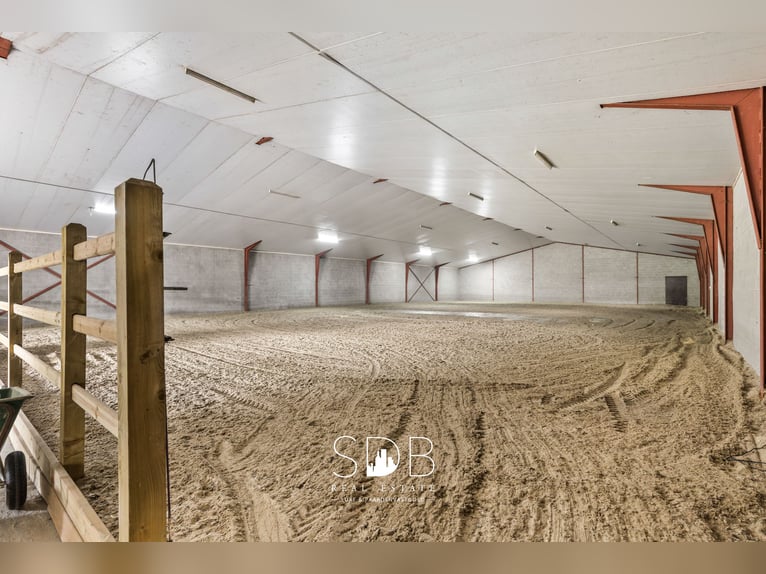 Boerderij met paardenfaciliteiten en graslanden op  14.490m² te Antwerpen | België