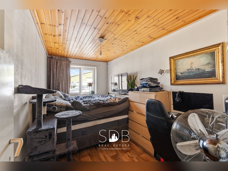 Boerderij met paardenfaciliteiten en graslanden op  14.490m² te Antwerpen | België