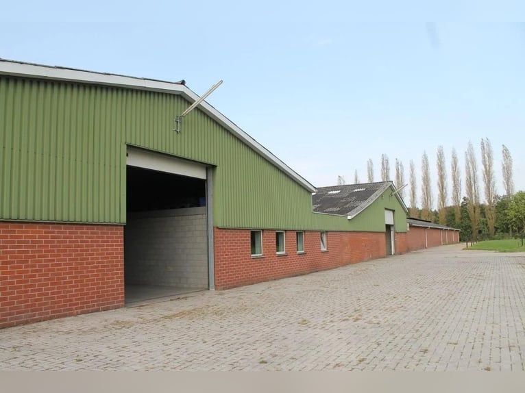 Boerderij met paardenfaciliteiten en graslanden op  14.490m² te Antwerpen | België