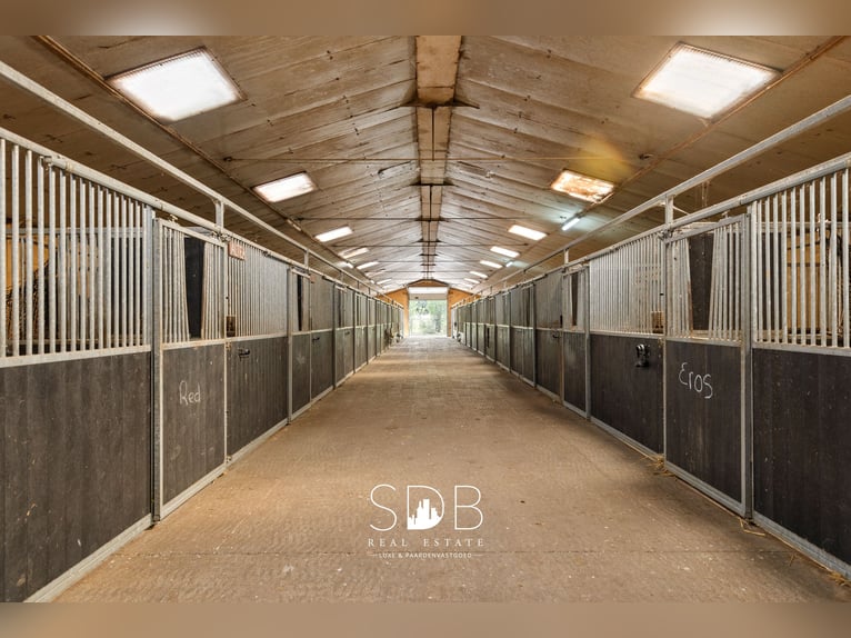 Boerderij met paardenfaciliteiten en graslanden op  14.490m² te Antwerpen | België