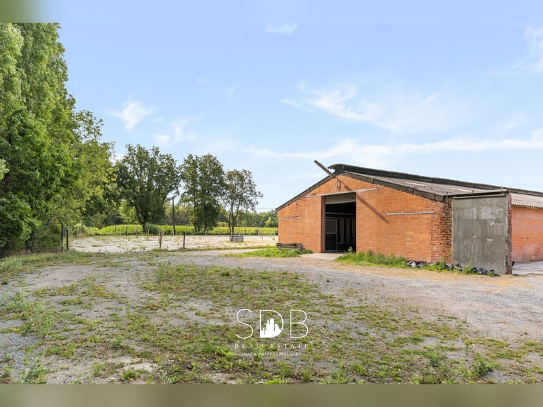 Boerderij met paardenfaciliteiten en graslanden op  14.490m² te Antwerpen | België