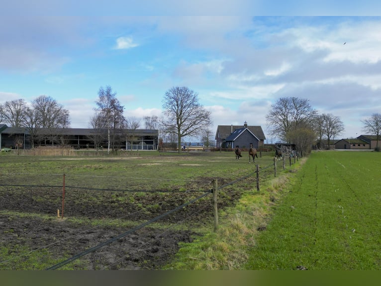 Buskensven 1, Oostrum