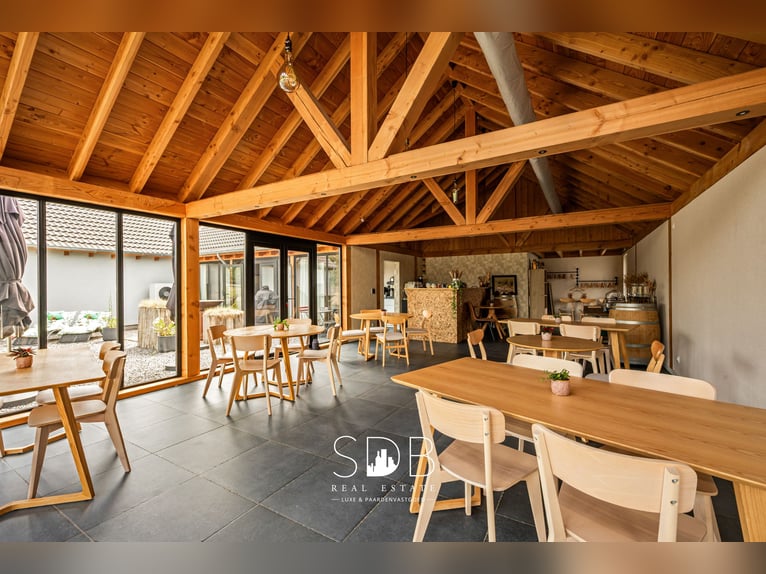 Charmante woning met wijngaard en graslanden op 14.569m² te Wachtebeke | België