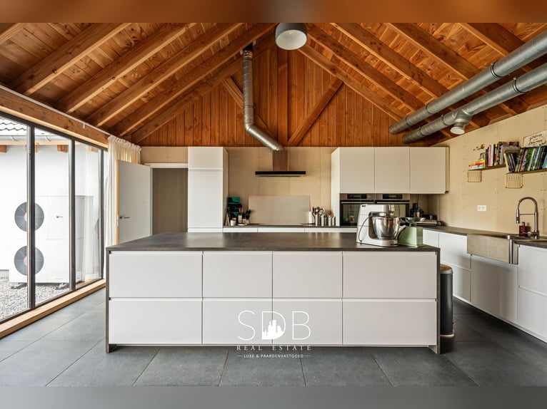 Charmante woning met wijngaard en graslanden op 14.569m² te Wachtebeke | België