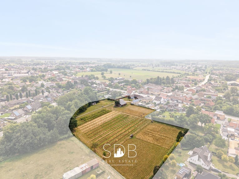 Charmante woning met wijngaard en graslanden op 14.569m² te Wachtebeke | België