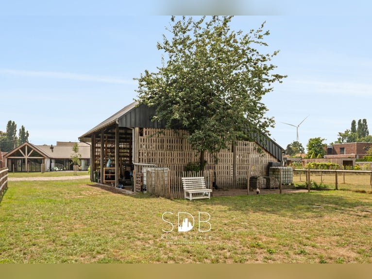 Charmante woning met wijngaard en graslanden op 14.569m² te Wachtebeke | België