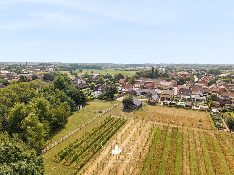 Charmante woning met wijngaard en graslanden op 14.569m² te Wachtebeke | België