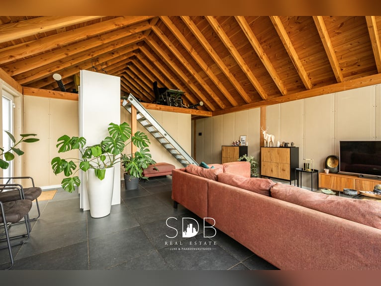 Charmante woning met wijngaard en graslanden op 14.569m² te Wachtebeke | België